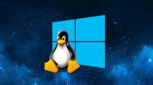Personalización de Linux como Windows